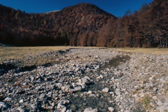 Nature, Italy, region of Calabria 1975 Comprensorio del Pollino - Monte Pollino (Pollino