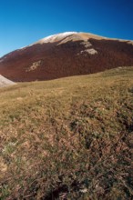 Nature, Italy, region of Calabria 1975 Comprensorio del Pollino - Monte Pollino (Pollino