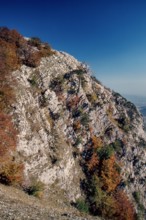 Nature, Italy, region of Calabria 1975 Comprensorio del Pollino - Monte Pollino (Pollino