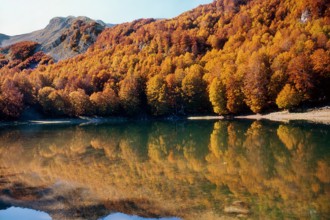 Nature, Italy, region of Calabria 1975 Comprensorio del Pollino - Monte Pollino (Pollino