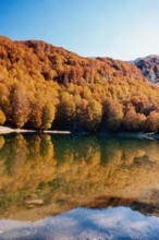 Nature, Italy, region of Calabria 1975 Comprensorio del Pollino - Monte Pollino (Pollino