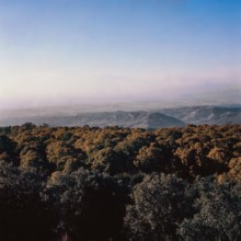 Nature, Italy, region of Calabria 1975 Sila Piccola (Little Sila).