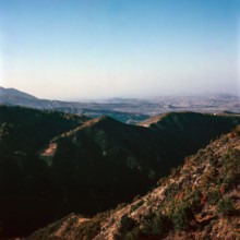 Nature, Italy, region of Calabria 1975 Sila Piccola (Little Sila).