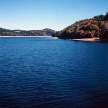 Nature, Italy, region of Calabria 1975 Sila Piccola (Little Sila).