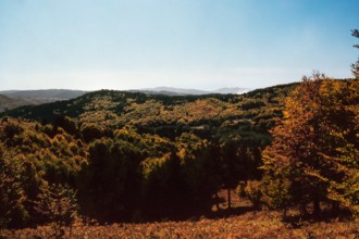 Nature, Italy, region of Calabria 1975 Sila Piccola (Little Sila).