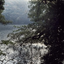 Nature, Italy, region of Calabria Serre Calabresi (Calabrese Greenhouses).