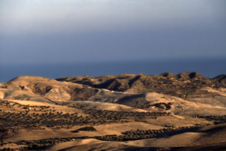 Nature, Italy, region of Calabria Marchesato Crotonese.
