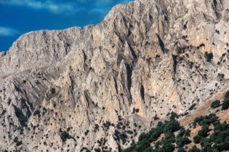 Nature, Italy, region of Sicilia 1975 Le Madonie (Tne Madonie).