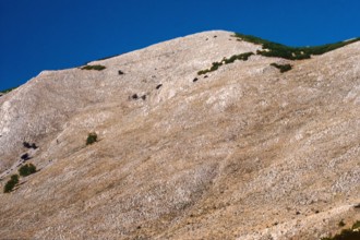 Nature, Italy, region of Sicilia 1975 Le Madonie (Tne Madonie).