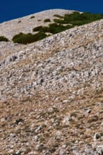 Nature, Italy, region of Sicilia 1975 Le Madonie (Tne Madonie).