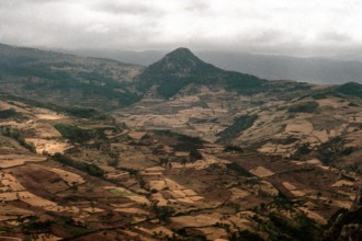 Nature, Italy, region of Sicilia 1975 Monti Nebrodi (Nebrodi Mountains).