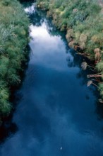Nature, Italy, region of Sicilia 1975 Fonte Ciane (Ciane source).