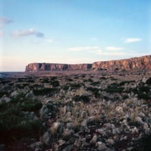 Nature, Italy, region of Sicilia 1975 Capo Sanvito (San Vito Cape).