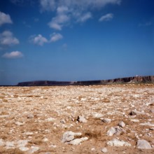Nature, Italy, region of Sicilia 1975 Capo Sanvito (San Vito Cape).