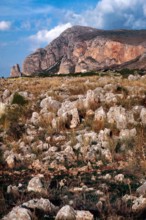 Nature, Italy, region of Sicilia 1975 Capo Sanvito (San Vito Cape).
