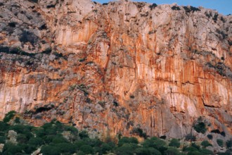 Nature, Italy, region of Sicilia 1975 Capo Sanvito (San Vito Cape).