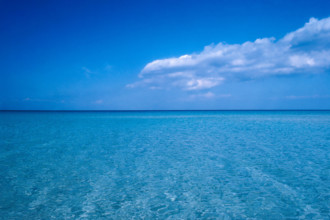 Nature, Italy, region of Sicilia 1975 Capo Sanvito (San Vito Cape).