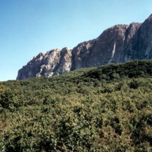 Nature, Italy, region of Sicilia 1975 Rocca Busambra - Bosco della Ficuzza (Busambra Rock - Ficuzza