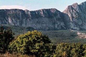 Nature, Italy, region of Sicilia 1975 Rocca Busambra - Bosco della Ficuzza (Busambra Rock - Ficuzza