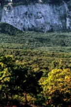 Nature, Italy, region of Sicilia 1975 Rocca Busambra - Bosco della Ficuzza (Busambra Rock - Ficuzza
