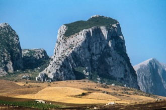 Nature, Italy, region of Sicilia 1975 Rocca Busambra - Bosco della Ficuzza (Busambra Rock - Ficuzza
