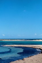 Nature, Italy, region of Sicilia 1975 Isola di Capo Passero (Capo Passero Island).
