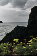 Nature, Italy, region of Sicilia 1975 Isole Eolie, Isola di Stromboli (Aeolian Islands, Stromboli