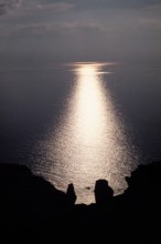 Nature, Italy, region of Sicilia 1975 Isole Eolie, Lipari Quattrocchi  (Aeolian Islands, Lipari