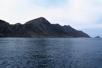 Nature, Italy, region of Sicilia 1975 Isole Egadi, Isola di Marettimo (Egadi Islands,  Marettimo