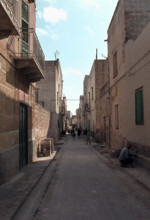 Nature, Italy, region of Sicilia 1975 Isole Egadi, Isola di Marettimo (Egadi Islands,  Marettimo