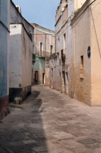 Nature, Italy, region of Sicilia 1975 Isole Egadi, Isola di Marettimo (Egadi Islands,  Marettimo