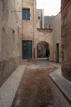 Nature, Italy, region of Sicilia 1975 Isole Egadi, Isola di Marettimo (Egadi Islands,  Marettimo