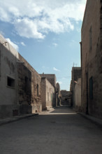 Nature, Italy, region of Sicilia 1975 Isole Egadi, Isola di Marettimo (Egadi Islands,  Marettimo