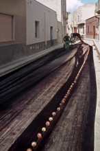 Nature, Italy, region of Sicilia 1975 Isole Egadi, Isola di Marettimo (Egadi Islands,  Marettimo