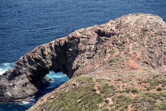 Nature, Italy, region of Sicilia 1975 Isola di Pantelleria (Pantelleria Island).