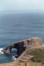 Nature, Italy, region of Sicilia 1975 Isola di Pantelleria (Pantelleria Island).