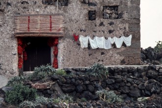 Nature, Italy, region of Sicilia 1975 Isola di Pantelleria (Pantelleria Island).