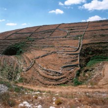 Nature, Italy, region of Sicilia 1975 Muri a secco nel Ragusano (Dry Stone walls in the Ragusano).