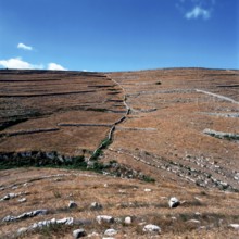Nature, Italy, region of Sicilia 1975 Muri a secco nel Ragusano (Dry Stone walls in the Ragusano).