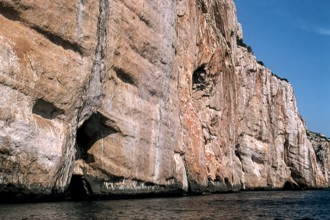 Nature, Italy, region of Sardegna 1975 Riviera del Corallo - Capo Caccia (Coral Riviera - Caccia
