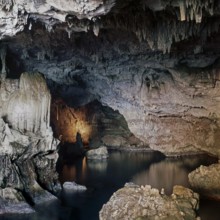 Nature, Italy, region of Sardegna 1975 Riviera del Corallo - Capo Caccia - Grotte di Nettuno (Coral
