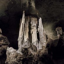 Nature, Italy, region of Sardegna 1975 Riviera del Corallo - Capo Caccia - Grotte di Nettuno (Coral