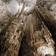 Nature, Italy, region of Sardegna 1975 Riviera del Corallo - Capo Caccia - Grotte di Nettuno (Coral