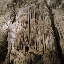 Nature, Italy, region of Sardegna 1975 Riviera del Corallo - Capo Caccia - Grotte di Nettuno (Coral
