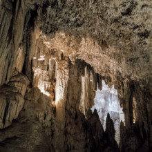 Nature, Italy, region of Sardegna 1975 Riviera del Corallo - Capo Caccia - Grotte di Nettuno (Coral