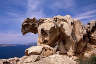 Nature, Italy, region of Sardegna 1975 Gallura - Capo Orso (Bear Cape).
