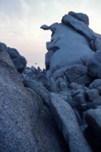 Nature, Italy, region of Sardegna 1975 Gallura - Capo Testa (Testa Cape).