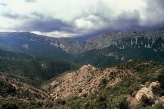 Nature, Italy, region of Sardegna 1975 Massiccio del Gannargentu (Gennargentu Massif).