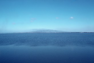 Nature, Italy, region of Sardegna 1975 Stagno Di Cabras (Cabras Pond).