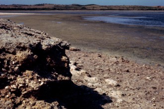 Nature, Italy, region of Sardegna 1975 Lago di Baratz (Baratz Lake).